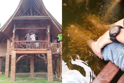 Wisata Kuliner Gubuk Makan Mang Engking di Jogja, Pengunjung Dapat Terapi Ikan Gratis