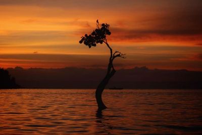 Pantai Walakiri, Spot Paling Cocok untuk Menikmati Sunset di Sumba Timur