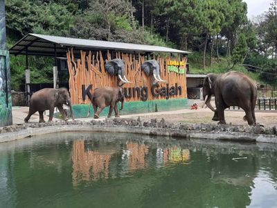 Tempat Liburan Asyik Bareng Keluarga, Lembang Park and Zoo!