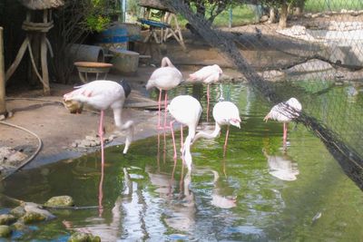 Bird Valley Agadir, Rekomendasi Wisata Populer di Maroko yang Dipenuhi Keragaman Fauna