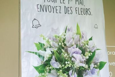 Fakta Menarik di Balik Lily of The Valley , Bunga Simbol Hari Buruh di Prancis