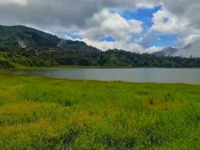 Telaga Dringo: Keindahan Miniatur Ranu Kumbolo di Dieng dan Mitos Kerbau Bertanduk Emas