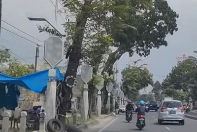 Bobby Minta Kontraktor Bongkar Sendiri Lampu Pocong di 10 Ruas Jalan Kota Medan
