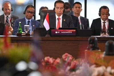 Demi Keberlangsungan ASEAN, Ini Harapan Presiden Jokowi pada Anak-anak Muda