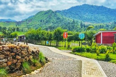 Cantiknya Manggala Ranch Cilongok, Berjuluk New Zealand-nya Pulau Jawa