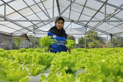 Central Hidroponik Bengkulu, Agrowisata yang Cocok Buat Cari Udara Segar