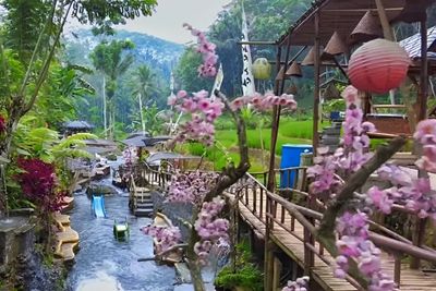 Udah Pada Tahu Belum, di Malang Ternyata Ada Mini Jepang