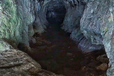 Goa Kreo: Tempat Wisata Legendaris Libatkan Sunan Kalijaga dan Kera Ekor Panjang