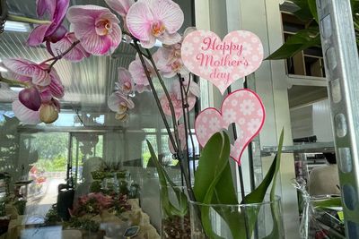 Toko Bunga di Belgia Alami Peningkatan Permintaan 50 Persen pada Perayaan Hari Ibu