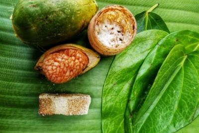 Menggali Filosofi dan Manfaat di Balik Tradisi Menginang yang Mulai Punah