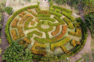 Keren! Jakarta Ternyata Punya Taman Labirin, Keindahannya Cocok Buat Healing