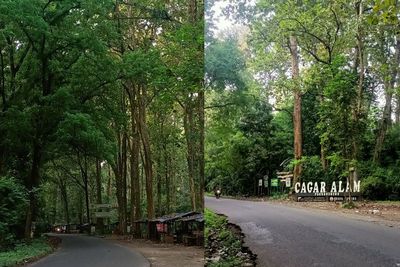 Tolong! Jalan di Cagar Alam Pagerwunung Kendal Minim Penerangan, Kalau Malam Horor Banget