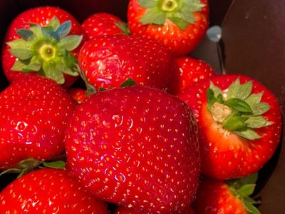 Kelezatan Strawberry Khas Belgia: Ungkap Rahasia Keberhasilan Produsen Terbaik di Dunia