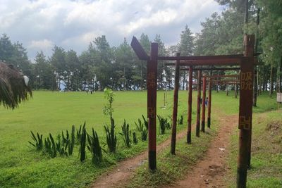 Cuma Bumi Perkemahan, Tapi Tempat di Pemalang Ini Cocok Banget Buat Healing Gratis!