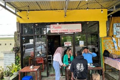 Menikmati Kopi Luwak dari Hewannya Langsung, Ternyata Enggak Menjijikkan Kok!