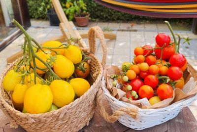 Tips Menanam dan Memaksimalkan Produksi Buah Tomat dalam Skala Kecil atau Besar