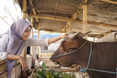Hari Raya Idul Adha Sebentar Lagi, Yuk Simak Tips Memilih Hewan Kurban yang Baik