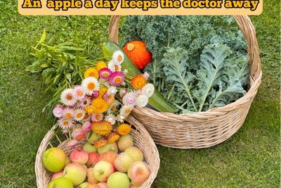 Membongkar Mitos An Apple a Day Keeps the Doctor Away , Apakah Benar Demikian?