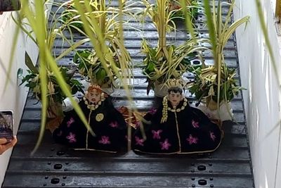 Ritual Manten Tebu, Tradisi Unik Tandai Buka Giling Pabrik Gula Modjopanggung Tulungagung