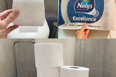 Penggunaan Tisu Toilet dalam Peradaban Manusia: Dari Tersorium Romawi hingga Tisu Modern