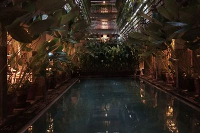 Sejuknya Hotel Greenhost Boutique Jogja, Sempat Jadi Tempat Syuting AADC 2!