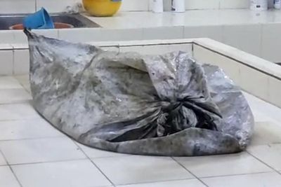 Heboh! Siswi SMP di Mojokerto Ditemukan Tewas Membusuk, Jasadnya Terbungkus Karung