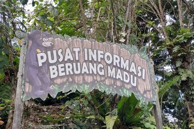 Konservasi Beruang Madu, Wisata Edukasi di Balikpapan yang Cocok Buat Liburan Keluarga