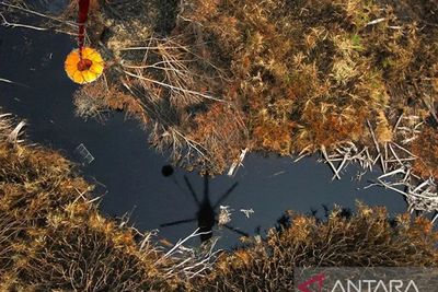 15 Pesawat Disiapkan Pemerintah Atasi Karhutla, Riau hingga Kalsel Berstatus Siaga