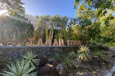 Mau Punya Taman Kering Unik Ala Jepang, Yuk Mampir Dulu ke Taman Kering di Parepare