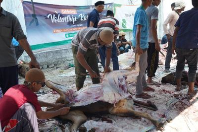 Belum Pernah Akikah Tetapi Ingin Berkurban, Mana yang Harus Didahulukan?