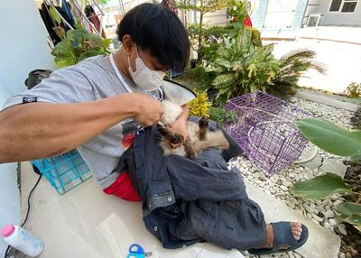Cuma Mandikan Kucing, Pemuda di Parepare Bisa Cuan Rp1 hingga Rp2 Juta Sehari