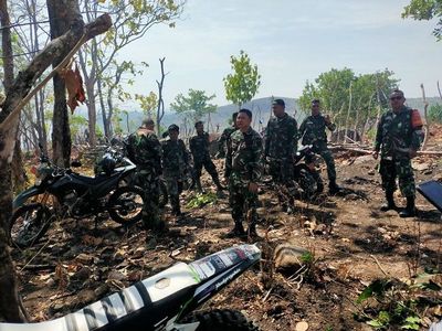 Aksi Heroik Dandim 1405 Parepare saat Padamkan Api di Pegunungan