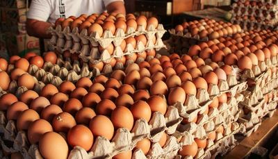 Hari Telur Sedunia Dirayakan Tiap 13 Oktober, Kenali Manfaatnya Berikut Ini