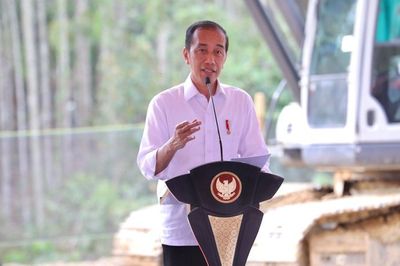 Biografi Joko Widodo: Perjalanan Karier Menuju Presiden Indonesia