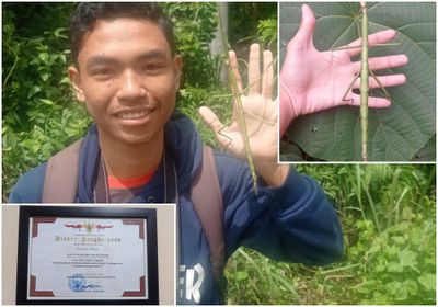 Pelajar SMA di Kupang Diajak Kolaborasi dengan Peneliti 3 Negara Temukan Serangga Spesies Baru