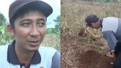 Kisah Inspiratif M. Ali Wafa Anak Bupati Rembang: Dari Pertanian ke Kursi DPRD