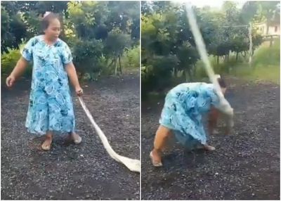 Viral Emak-emak di Madura 'Hajar' Ular Berukuran Besar yang Mangsa Ayam Miliknya