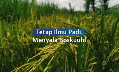 Viral Istilah Ilmu Padi dan Manyala Abangku di Sosial Media