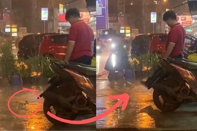 Viral Video Pria Tendang Anak Kucing Berkali-Kali Padahal Hanya Ingin Berteduh Saat Hujan Deras