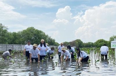 Inovasi Perlindungan Tanam 1.500 Bibit Mangrove: Lanjutkan Komitmen Keberlanjutan untuk Masa Depan