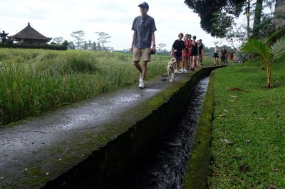 Sistem Irigasi Subak di Bali Jadi Kebanggaan Indonesia di World Water Forum ke-10