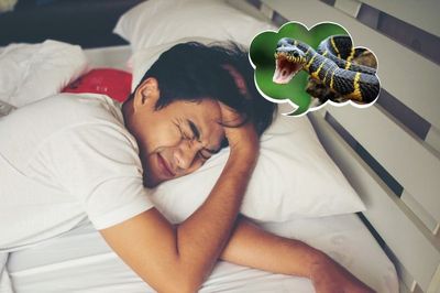 Arti Mimpi Digigit Ular Menurut Primbon Jawa dan Pandangan Islam