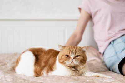 5 Penyebab Kucing Suka Marah dan Cara Mengatasinya, Cat Lovers Wajib Tahu!