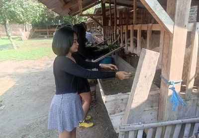 Peternak di Bantul Ini Jual Kambing Pakai Jasa SPG Cantik Meningkat Drastis, Kok Bisa?