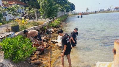 Mahasiswa Sejarah UNDIP Berpartisipasi dalam Kegiatan KKL Bersih Pantai di Karimunjawa