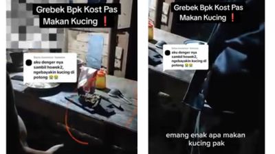 Viral Aksi Bapak Kos Masak Daging Kucing untuk Obat Diabetes, Netizen: Miris Banget!