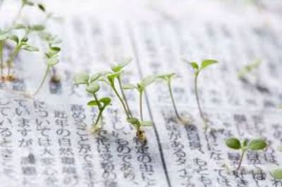 Inovasi Hijau Jepang, Koran yang Bisa Ditanam setelah Dibaca