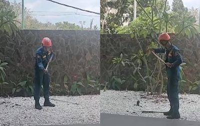 Aksi Unik Seorang Petugas Pemadam Kebakaran Dalam Menangani Ular di Sleman