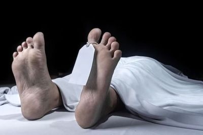 Viral, Penemuan Mayat Wanita dalam Perut Hiu di Timor Leste: Identitas Korban Masih Misteri!