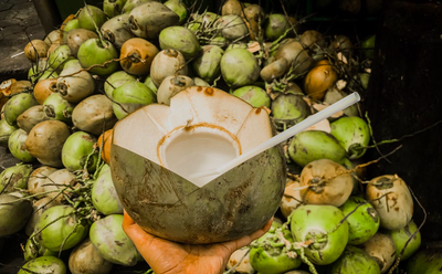 Luar Biasa! Ternyata Ini Asal Usul Air di Dalam Kelapa